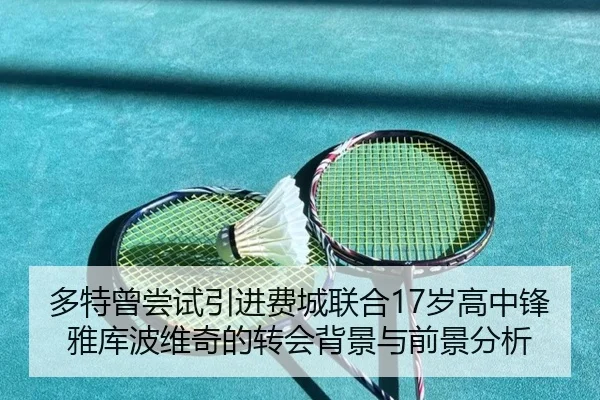 多特曾尝试引进费城联合17岁高中锋雅库波维奇的转会背景与前景分析